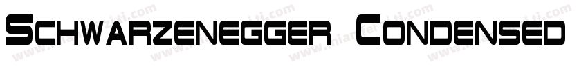 Schwarzenegger Condensed Regular字体转换